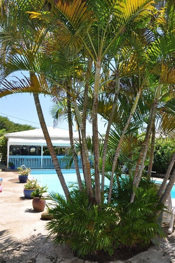 Hotel Cap Sud Caraibes Le Gosier  Exterior foto